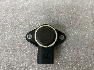 06E907386F Emme Manifoldu Kapak Servomotoru Audi Rs 7 4G 2014