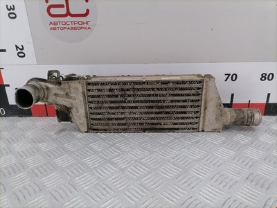 9196705 Intercooler (Intercooler Radyatörü) Opel Combo C (2001-2011) 2003,